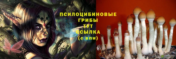 PSILOCYBIN Бородино